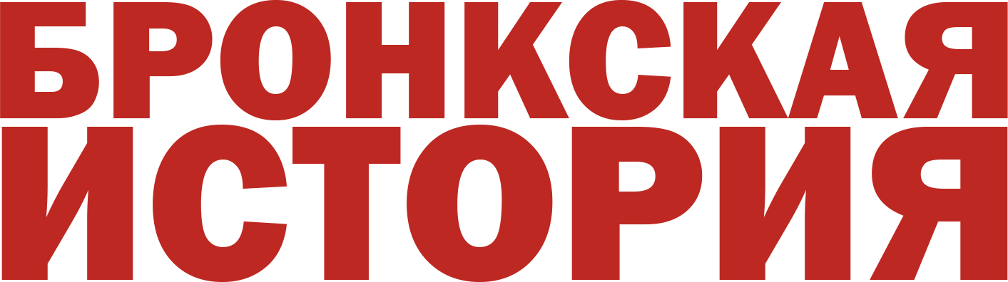 Бронкская история logo